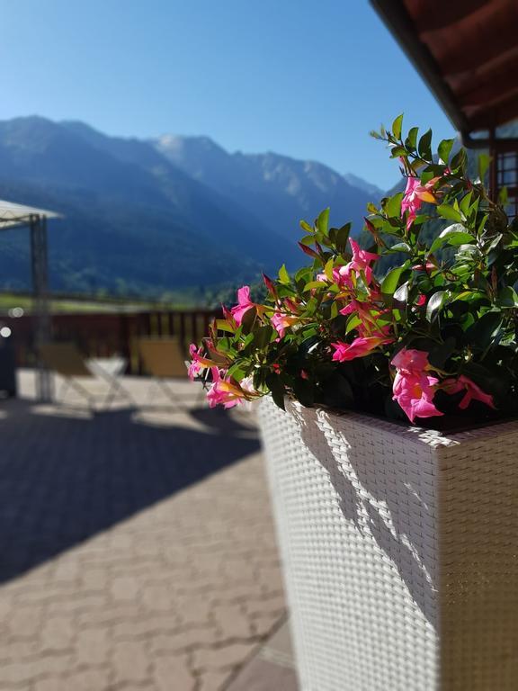 Veduta Dell'adamello 3* Temù