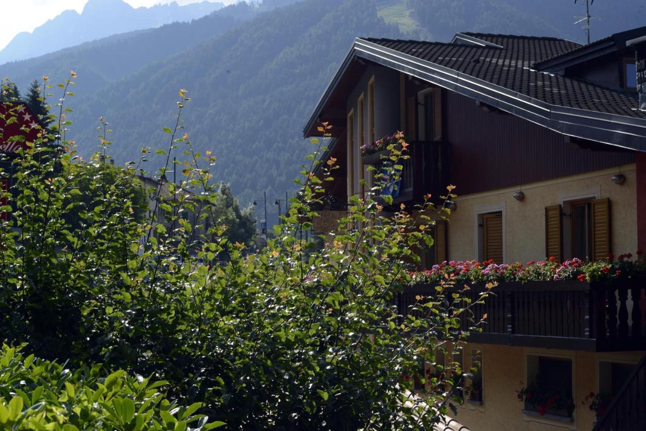 Veduta Dell'adamello 3* Temù